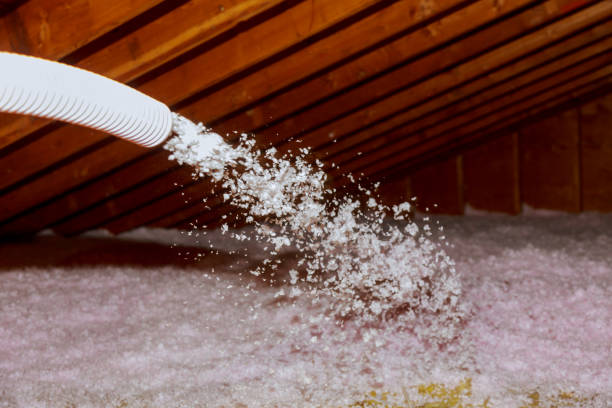 Best Insulation Maintenance and Repair in Manitou Beach Devils Lake, MI