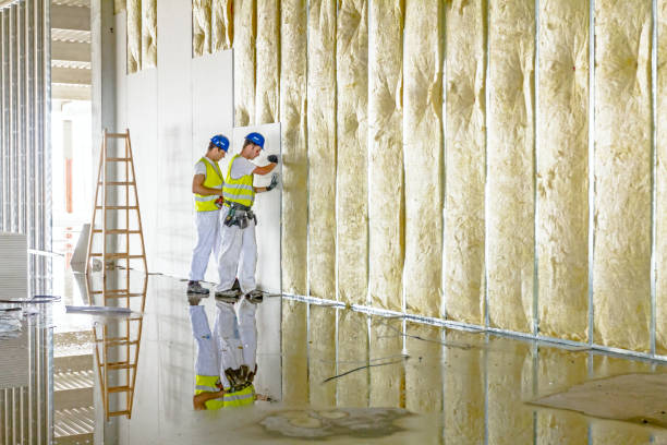 Best Cellulose Insulation in Manitou Beach Devils Lake, MI